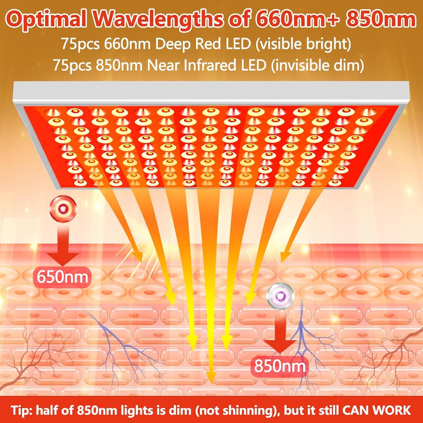 Optimal wavelengths of 660nm red and 850nm near-infrared light demonstrated by the DUGSDG Infrared Panel for maximum results.